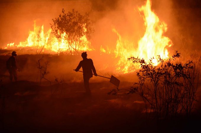 Prefeitura e Corpo de Bombeiros combatem incêndio no Parque Ambiental do Rio Verruga