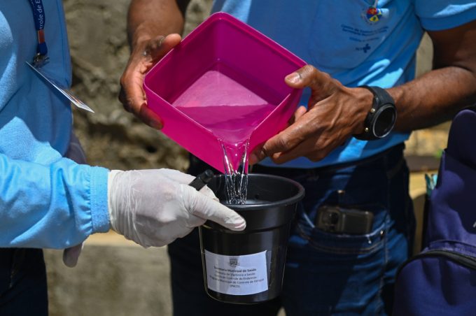 Vitória da Conquista remove 781 mil ovos do Aedes aegypti em 2025 e derruba casos de dengue em 92,3%