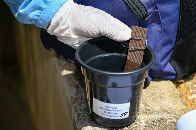 Prefeitura inicia nova estratégia de combate ao Aedes aegypti com armadilhas ovitrampas