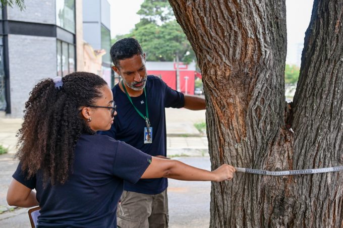 Secretaria de Meio Ambiente faz inventário florestal para avaliação e planejamento da arborização no município