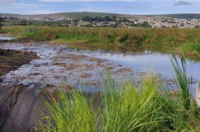Mais de 300 toneladas de resíduos e material orgânico já foram tirados da Lagoa das Bateias e espelho d’água volta a aparecer