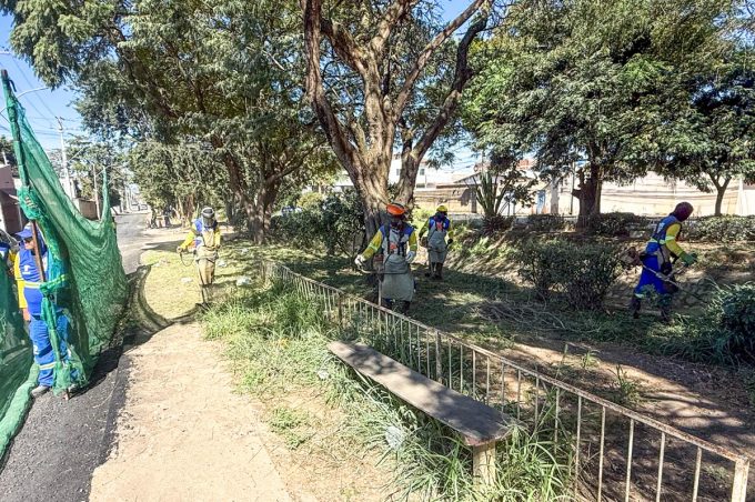 Secretaria de Ordem Pública segue com ações de limpeza e poda de árvores em todo o município