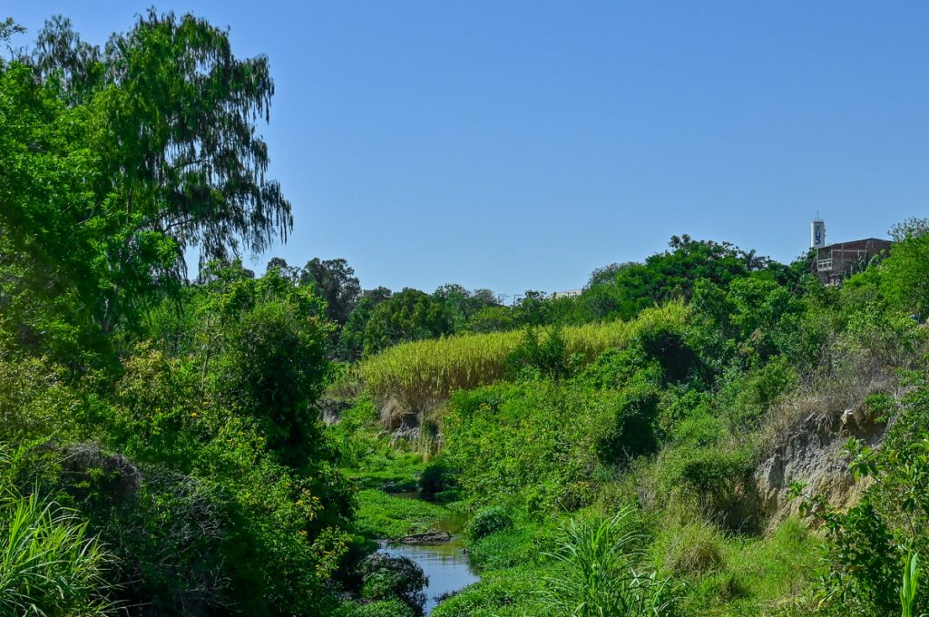 Foto: Reprodução/Prefeitura de Vitória da Conquista - BA