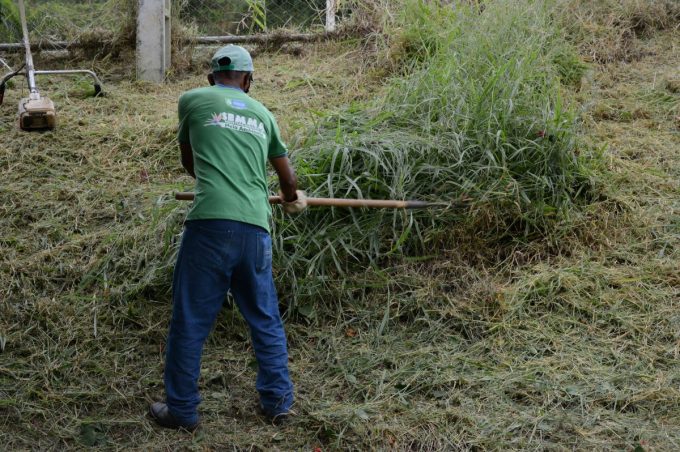 Meio Ambiente e Serviços Públicos mantêm agenda de mutirões de limpeza pós-chuva