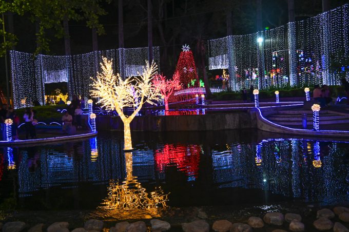 Natal Conquista de Luz: cantora Narjara Paiva se apresenta na Tancredo Neves nesta terça, 23