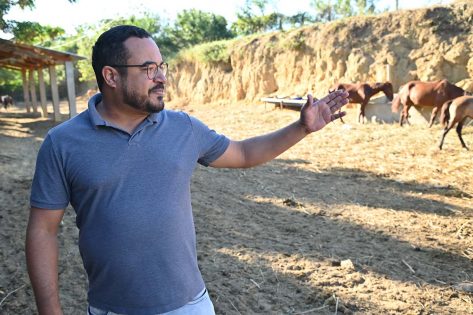 Manutenção de cemitérios e curral 16 05 14