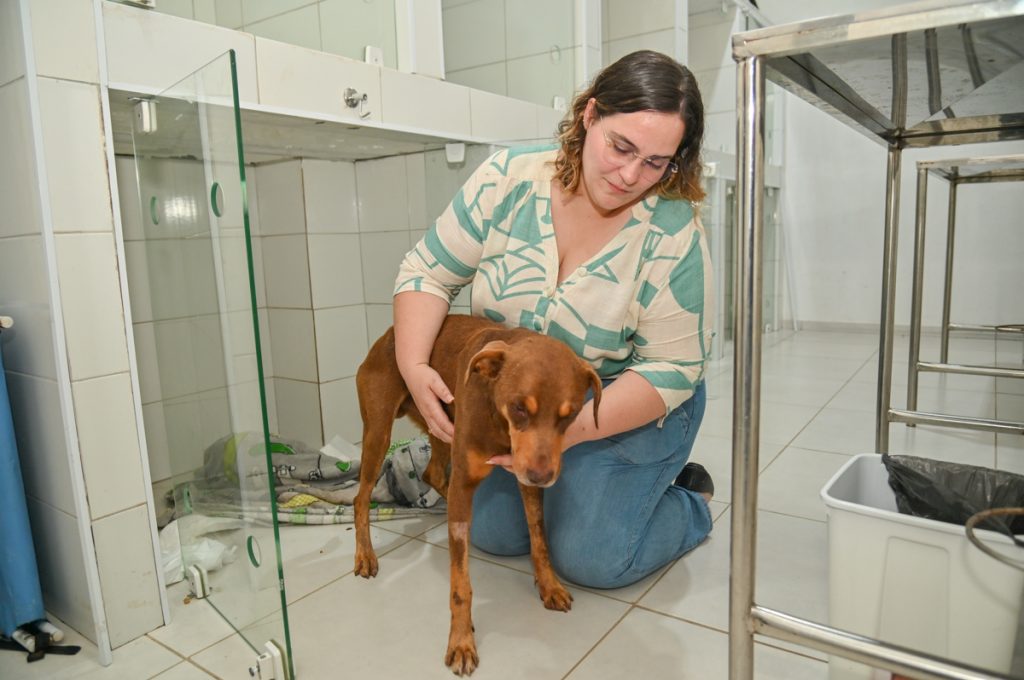 Foto: Reprodução/Prefeitura de Vitória da Conquista - BA