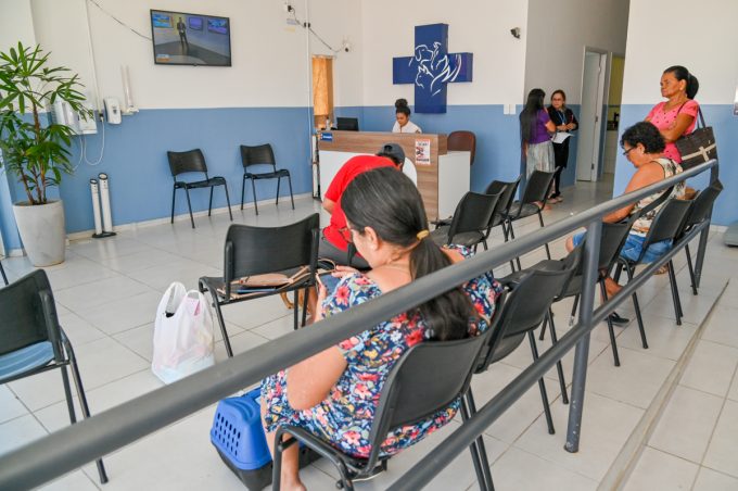 Cão vítima de maus-tratos recebe atendimento especializado e se recupera após resgate em Vitória da Conquista