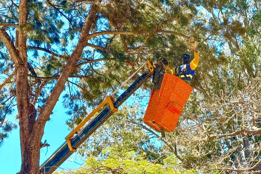 Foto: Reprodução/Prefeitura de Vitória da Conquista - BA