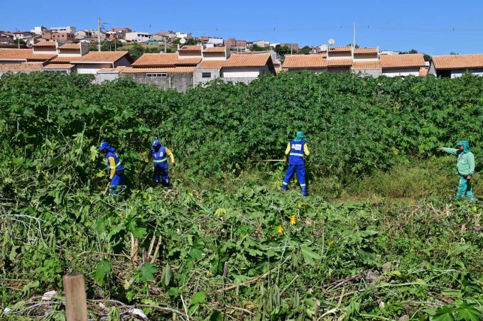 Prefeitura segue realizando mutirões de limpeza em toda a cidade com foco na erradicação do mosquito Aedes aegypti