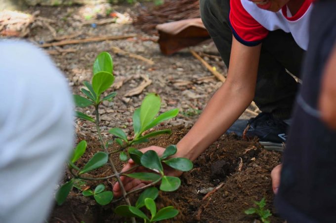 CAPSi e Secretaria Municipal de Meio Ambiente promovem oficina sensorial para crianças com TEA