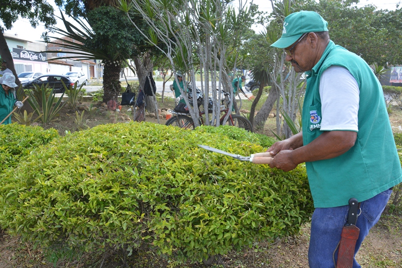Setor de Arborização Pública realiza e fiscaliza serviços de podas na cidade