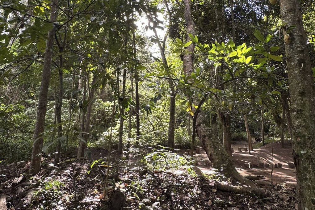Foto: Reprodução/Prefeitura de Vitória da Conquista - BA