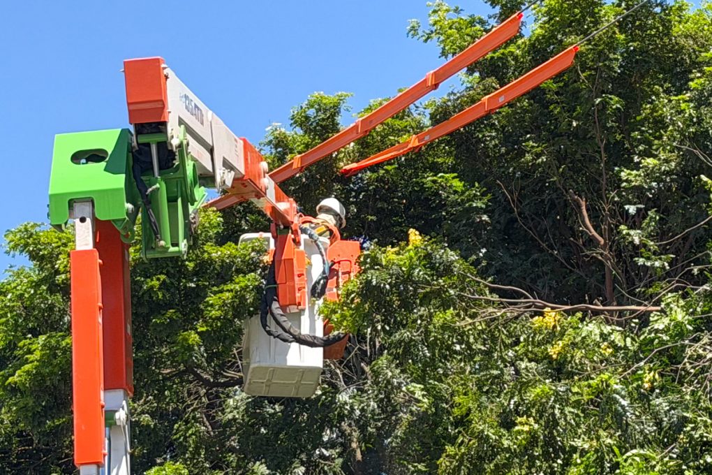 Foto: Reprodução/Prefeitura de Vitória da Conquista - BA