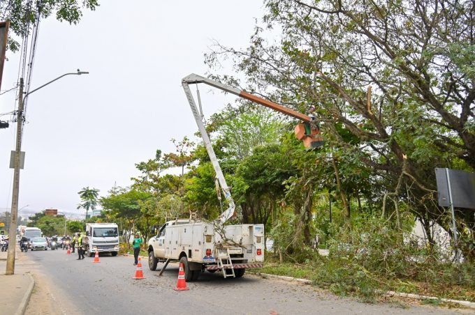 Semma realiza poda e replantio de árvores para início das obras de drenagem nas avenidas Caracas e Juracy Magalhães