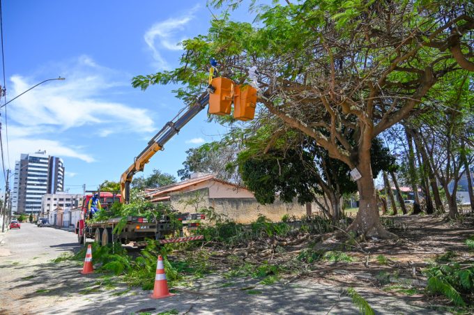 Prefeitura realiza poda de árvores em bairros das zonas oeste e leste da cidade