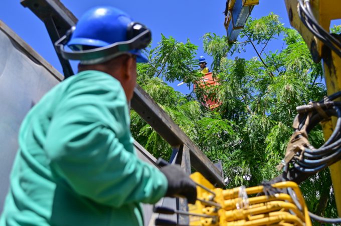 Secretaria Municipal de Serviços Públicos divulga próximas ações das equipes de limpeza e poda de árvores