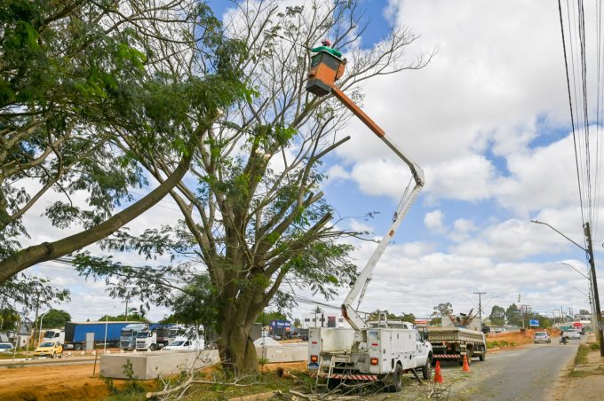 Secretaria de Meio Ambiente realiza poda de árvores para prosseguimento da obra na Avenida Brumado