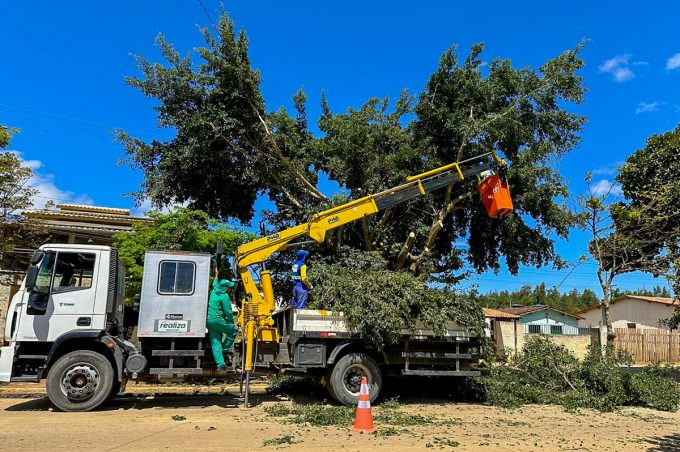 Prefeitura realiza poda em mais de 1.000 árvores de julho a outubro deste ano. Ação contemplou bairros e povoados