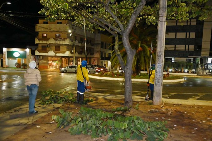 Secretaria Municipal de Serviços Públicos intensifica ações de limpeza, poda de árvores e cata-bagulho na cidade