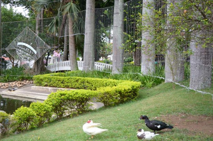 Luzes de Natal da Praça Tancredo Neves serão acesas neste domingo