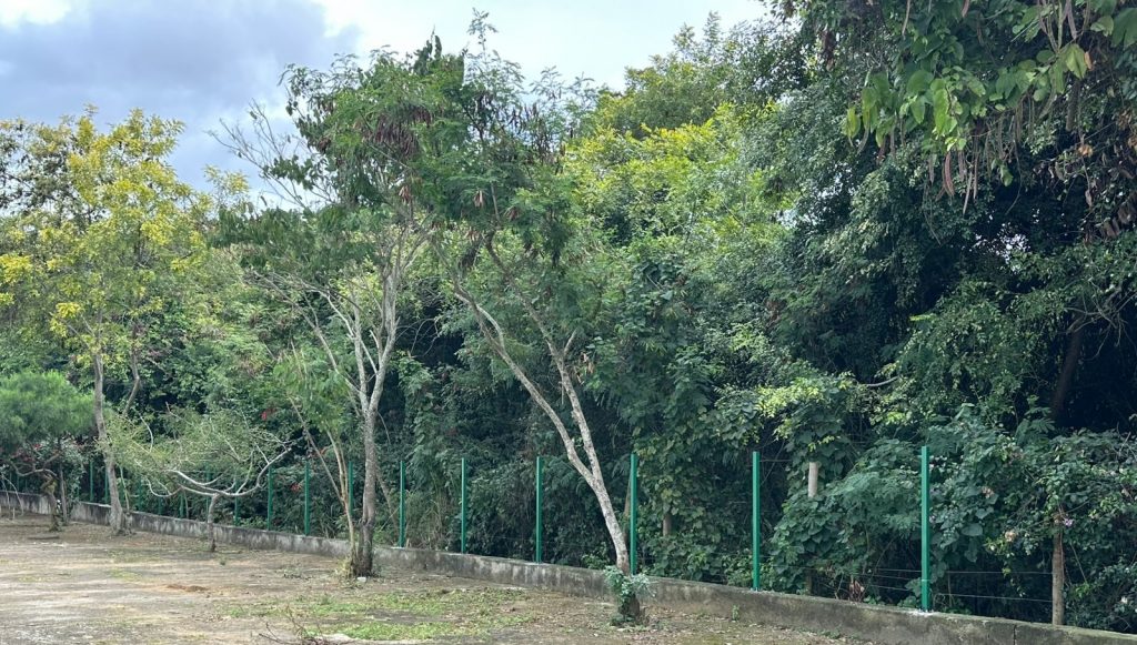 Foto: Reprodução/Prefeitura de Vitória da Conquista - BA