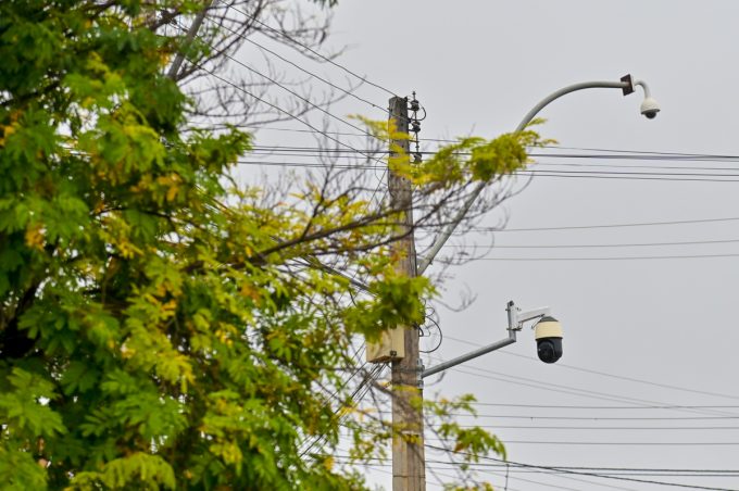 Prefeitura e Cicom alinham ações para ajustar poda de árvores em áreas de videomonitoramento