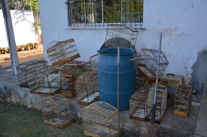 Cetas de Vitória da Conquista recebe cerca de 300 animais apreendidos em operações de fiscalização no estado