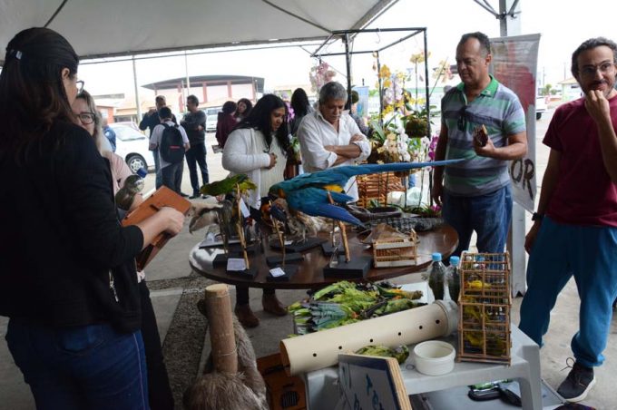 Início da Semana do Meio Ambiente celebra “Conquista 200: uma cidade mais verde”