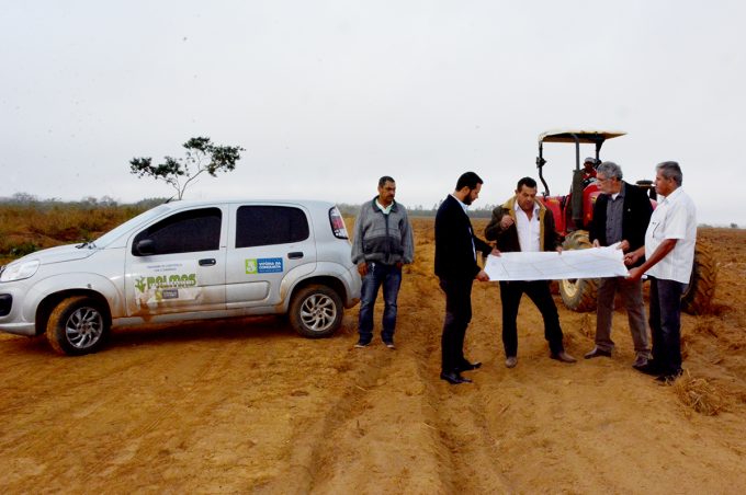 Prefeitura realiza preparativos para campo de produção de mudas de palma