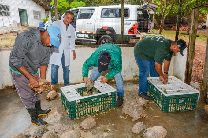 Centro de Triagem de Animais Silvestres de Vitória da Conquista recebe mais de mil animais apreendidos em São Paulo
