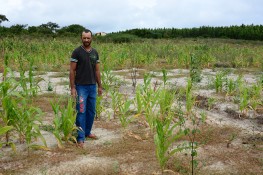Governo Municipal verifica perdas de agricultores inscritos no Garantia Safra