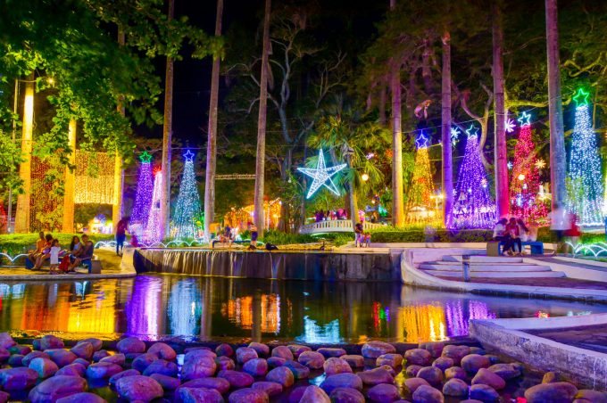 Prefeitura acende tradicional iluminação natalina e confirma programação musical na Nove de Novembro a partir do dia 14