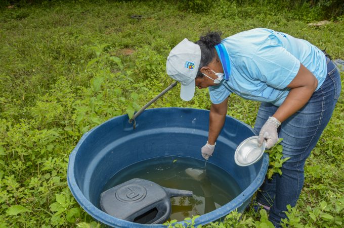 No Dia D de combate à dengue, Prefeitura promoveu mutirão de combate ao Aedes aegypti em Lagoa de José Luís