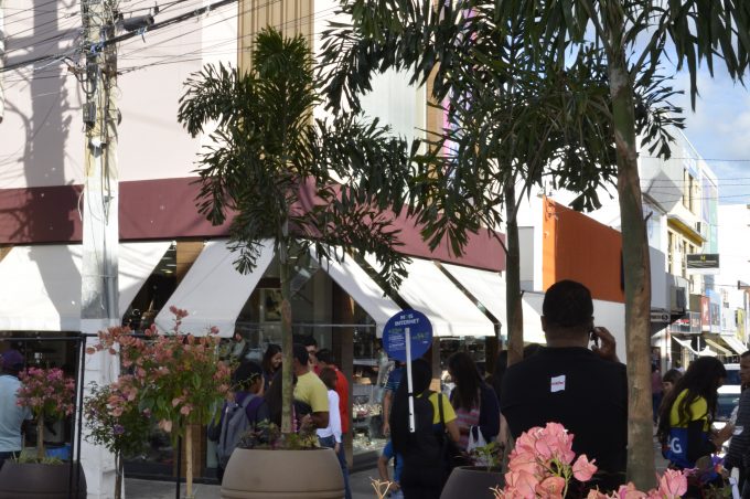 Para facilitar trânsito de pedestres, Praça Nove de Novembro é revitalizada