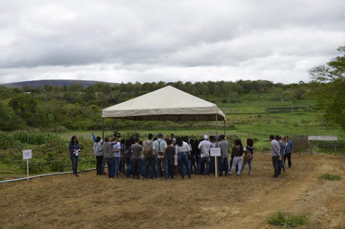 “Dia de Campo” apresenta novas técnicas de cultivo de mandioca a produtores rurais