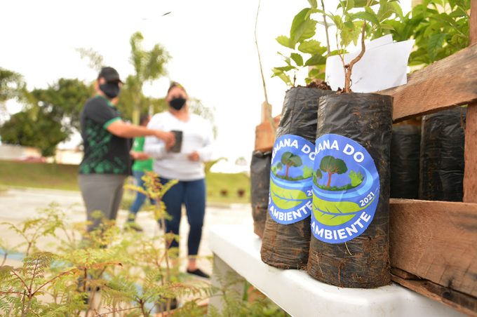 Na Semana do Meio Ambiente, Prefeitura distribui 500 mudas nativas