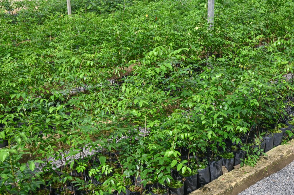 Foto: Reprodução/Prefeitura de Vitória da Conquista - BA