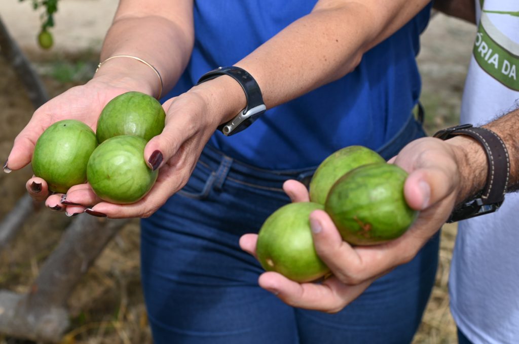 Foto: Reprodução/Prefeitura de Vitória da Conquista - BA