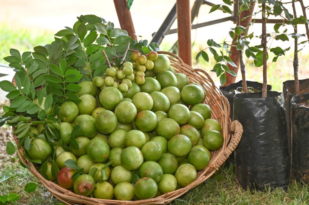 Foto: Reprodução/Prefeitura de Vitória da Conquista - BA