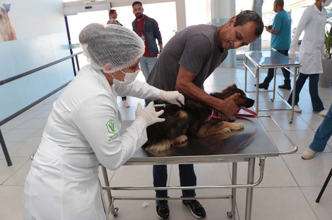 Mais de 46 mil cães e gatos foram imunizados no município durante campanha de vacinação antirrábica