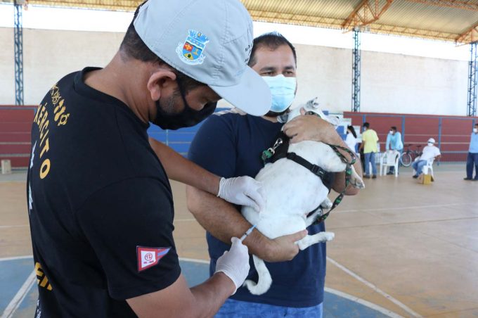 Vacinação antirrábica acontece neste sábado em 25 locais de vacinação