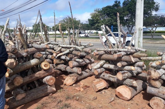 Comércio ilegal de madeira: Fogueiras são apreendidas pela Prefeitura