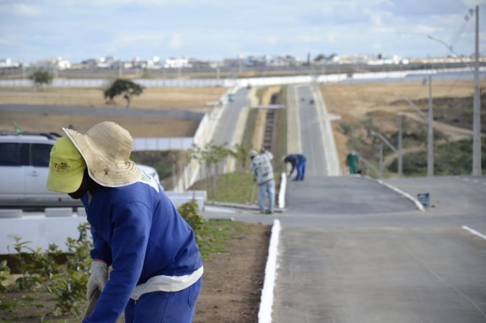 Prefeitura intensifica o plantio de mudas e árvores na J.Pedral