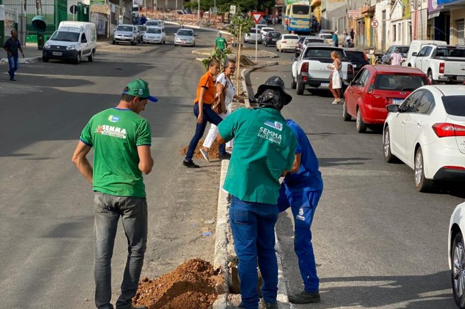 Prefeitura realiza arborização de importantes avenidas de Conquista