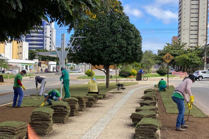 Nova Olívia Flores: serviço de paisagismo começa a ser feito no terceiro trecho da Avenida