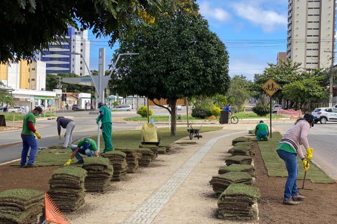 Nova Olívia Flores: serviço de paisagismo começa a ser feito no terceiro trecho da Avenida