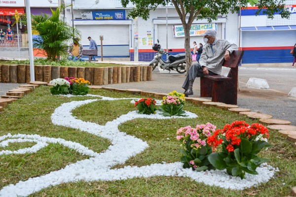 Dia Mundial do Meio Ambiente: Centro de Conquista ganha jardim suspenso