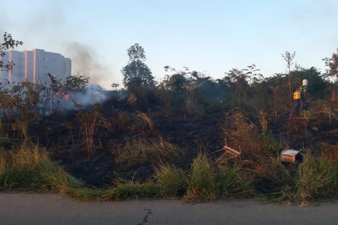Denuncie queimadas, cuide do Meio Ambiente