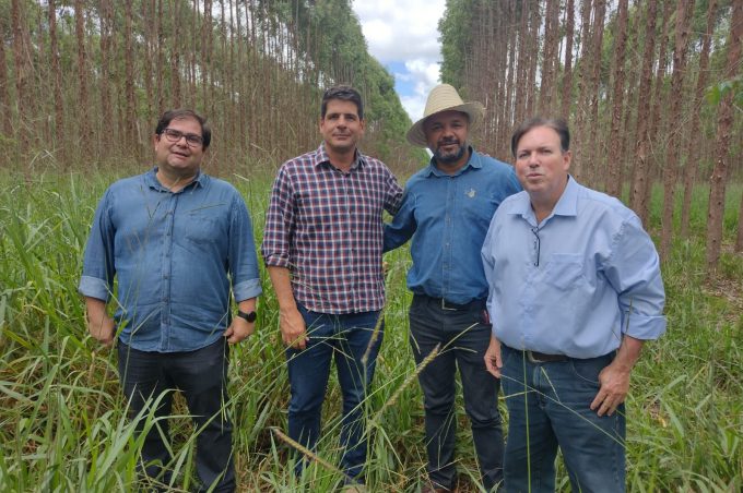 Secretaria de Desenvolvimento Rural e associação de silvicultores dialogam durante dia de campo
